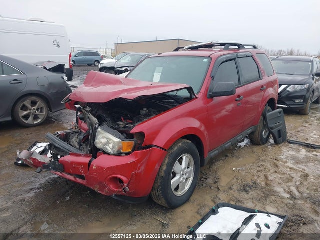 12557125 :رقم المزاد ، 1FMCU0D77AKC38955 vin ، 2010 Ford Escape Xlt مزاد بيع