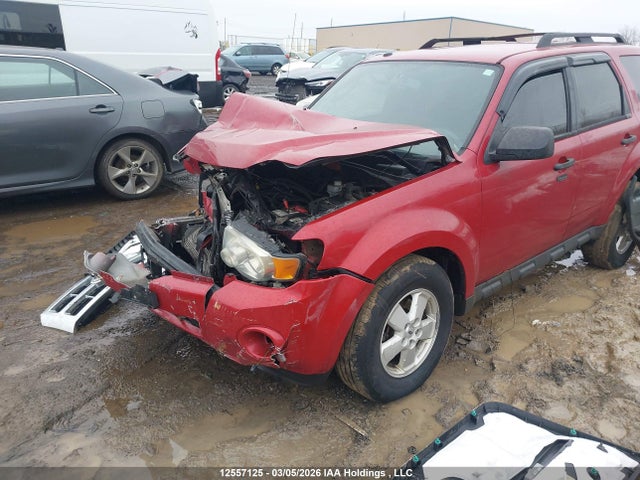 12557125 :رقم المزاد ، 1FMCU0D77AKC38955 vin ، 2010 Ford Escape Xlt مزاد بيع