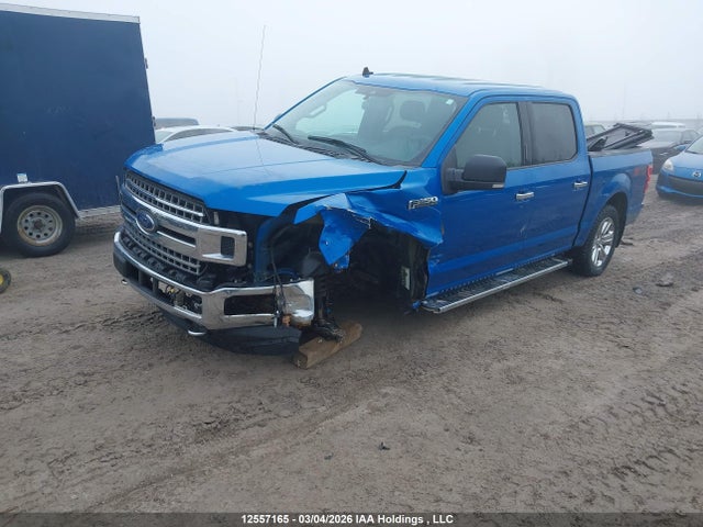 Продаж на аукціоні авто 2019 Ford F-150, vin: 1FTEW1E53KFD06267, номер лоту: 12557165