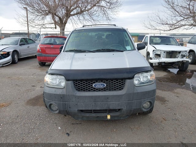 Продаж на аукціоні авто 2005 Ford Escape Xlt, vin: 1FMYU93155KA67605, номер лоту: 12557175