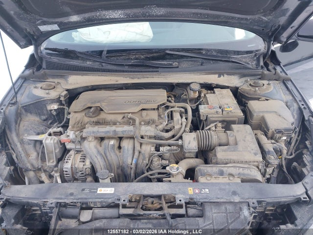 2023 Hyundai Elantra Sel მანქანა იყიდება აუქციონზე, vin: KMHLN4AG4PU612203, აუქციონის ნომერი: 12557182
