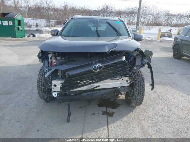 Продажа на аукционе авто 2025 Toyota Rav4 Xle/xle Premium, vin: 2T3R1RFV4SC535666, номер лота: 12557187