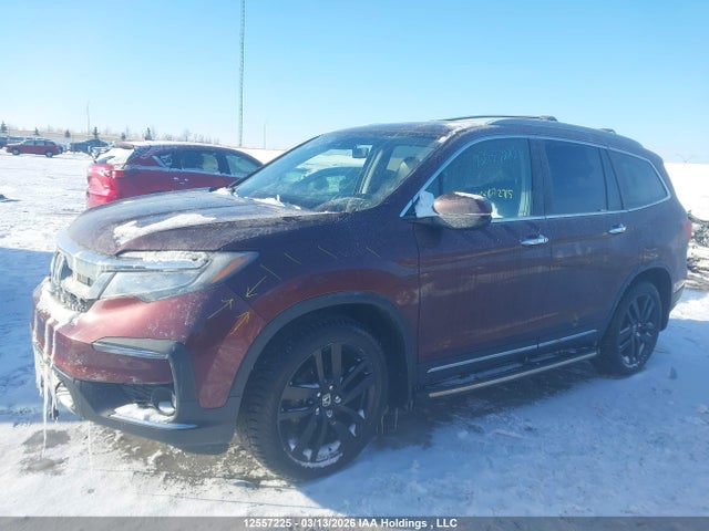 12557225 :رقم المزاد ، 5FNYF6H97KB503469 vin ، 2019 Honda Pilot Touring مزاد بيع