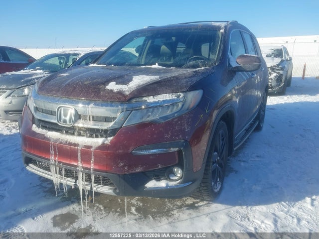 12557225 :رقم المزاد ، 5FNYF6H97KB503469 vin ، 2019 Honda Pilot Touring مزاد بيع