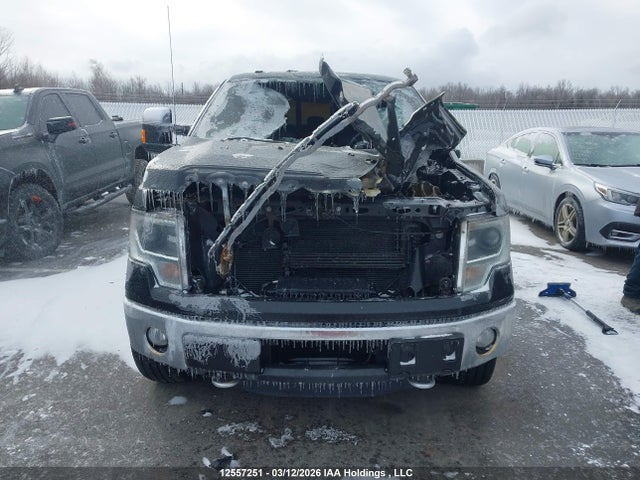 Продажа на аукционе авто 2013 Ford F150 Supercrew, vin: 1FTFW1ET9DFB62309, номер лота: 12557251