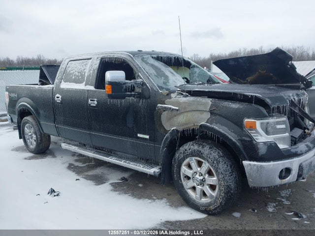 Продажа на аукционе авто 2013 Ford F150 Supercrew, vin: 1FTFW1ET9DFB62309, номер лота: 12557251