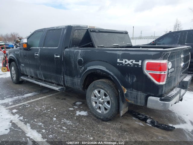 Продажа на аукционе авто 2013 Ford F150 Supercrew, vin: 1FTFW1ET9DFB62309, номер лота: 12557251