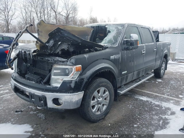 Продажа на аукционе авто 2013 Ford F150 Supercrew, vin: 1FTFW1ET9DFB62309, номер лота: 12557251