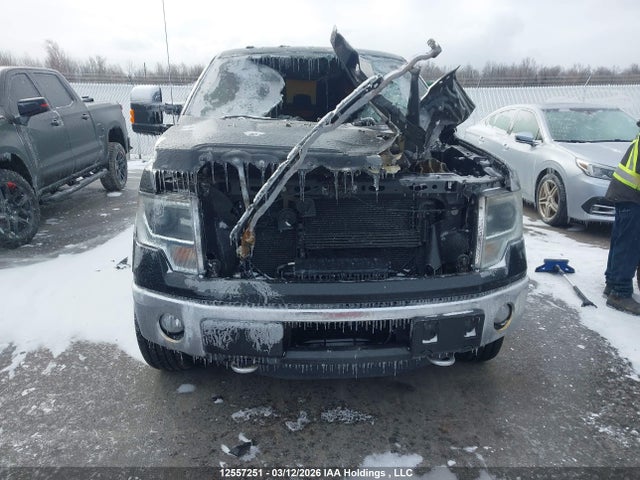 Продажа на аукционе авто 2013 Ford F150 Supercrew, vin: 1FTFW1ET9DFB62309, номер лота: 12557251