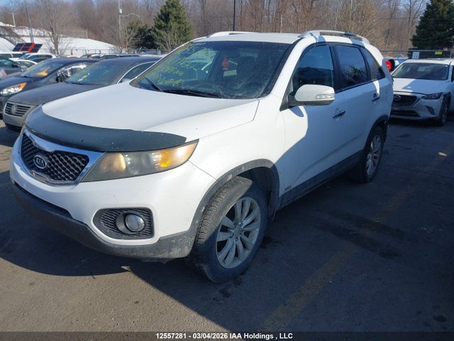 12557281 :رقم المزاد ، 5XYKTDA22BG091003 vin ، 2011 Kia Sorento مزاد بيع