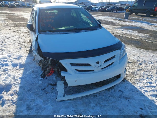 12546103 :رقم المزاد ، 2T1BU4EE8BC561709 vin ، 2011 Toyota Corolla Le مزاد بيع