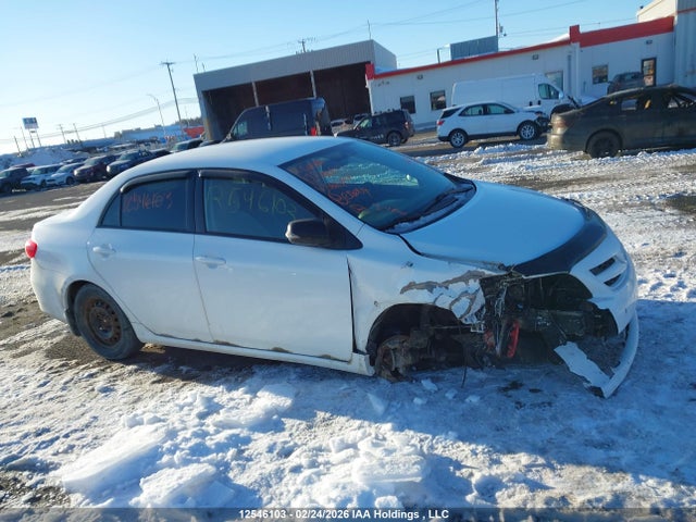12546103 :رقم المزاد ، 2T1BU4EE8BC561709 vin ، 2011 Toyota Corolla Le مزاد بيع