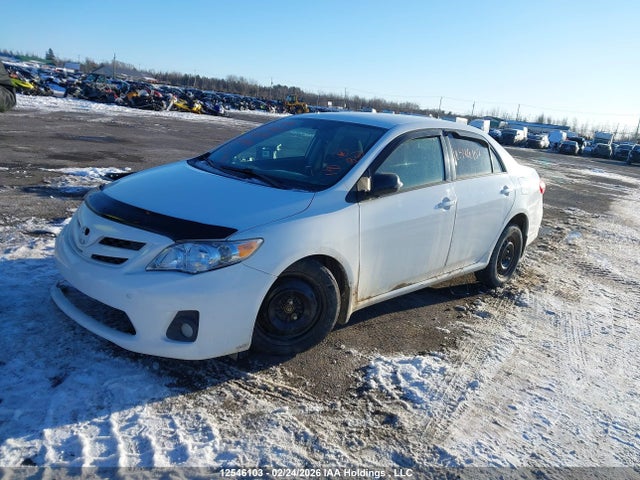 12546103 :رقم المزاد ، 2T1BU4EE8BC561709 vin ، 2011 Toyota Corolla Le مزاد بيع
