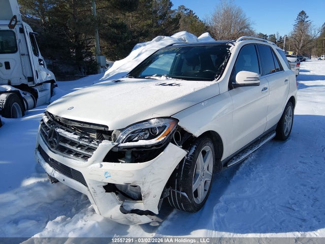 12557291 :رقم المزاد ، 4JGDA2EB5FA555724 vin ، 2015 Mercedes-benz Ml 350 Bluetec 4matic مزاد بيع