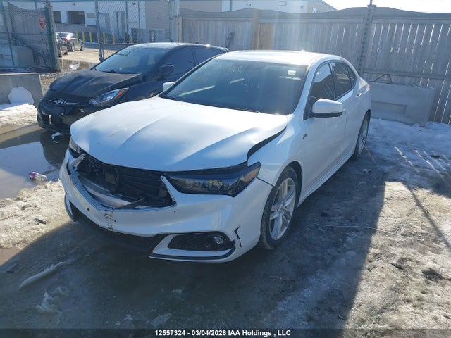 19UUB1F69LA800177 Acura Tlx Tech A-spec