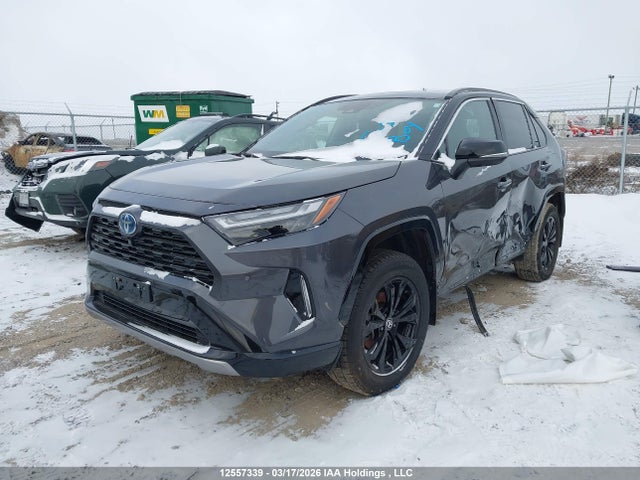 2023 Toyota Rav4 Hybrid Xse მანქანა იყიდება აუქციონზე, vin: 2T35WRFV7PW173838, აუქციონის ნომერი: 12557339