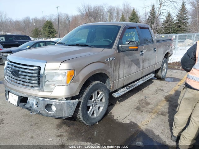 2012 Ford F150 Supercrew მანქანა იყიდება აუქციონზე, vin: 1FTFW1EF4CKE00521, აუქციონის ნომერი: 12557381