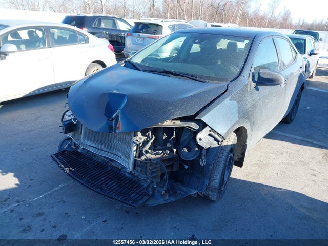 2T1BURHE5HC820450 Toyota Corolla L/le/xle/se/xse