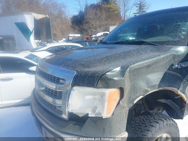 12557527 :رقم المزاد ، 1FTFW1ET1DFB25254 vin ، 2013 Ford F-150 Xlt مزاد بيع