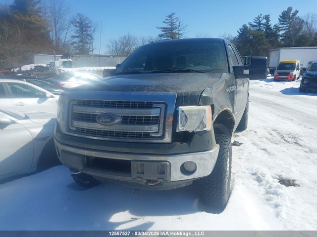 12557527 :رقم المزاد ، 1FTFW1ET1DFB25254 vin ، 2013 Ford F-150 Xlt مزاد بيع