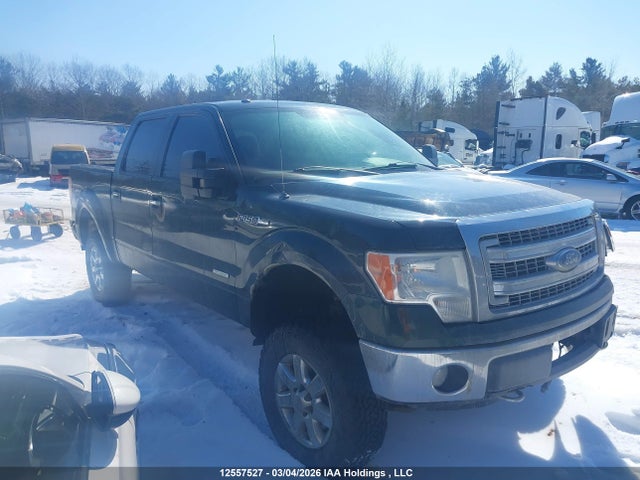 12557527 :رقم المزاد ، 1FTFW1ET1DFB25254 vin ، 2013 Ford F-150 Xlt مزاد بيع