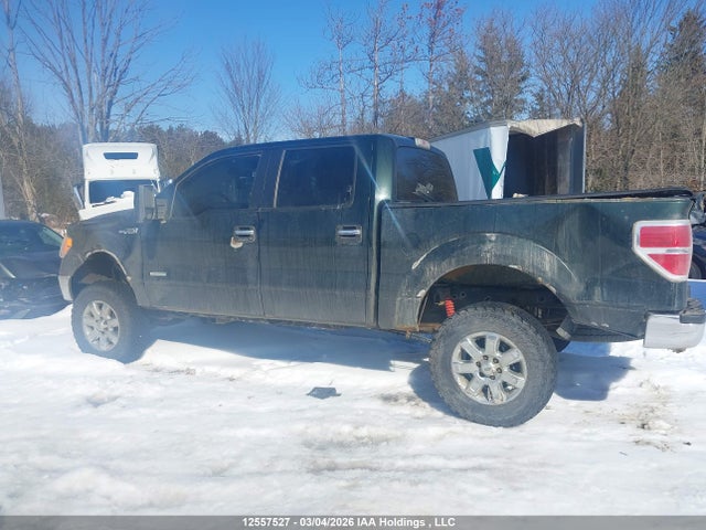 12557527 :رقم المزاد ، 1FTFW1ET1DFB25254 vin ، 2013 Ford F-150 Xlt مزاد بيع