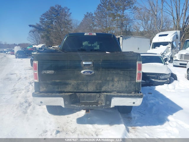 12557527 :رقم المزاد ، 1FTFW1ET1DFB25254 vin ، 2013 Ford F-150 Xlt مزاد بيع