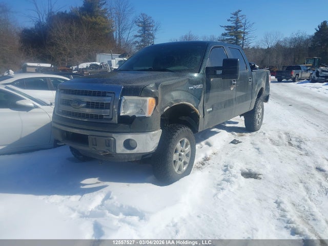 12557527 :رقم المزاد ، 1FTFW1ET1DFB25254 vin ، 2013 Ford F-150 Xlt مزاد بيع
