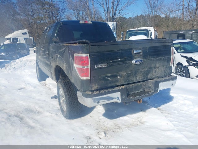 12557527 :رقم المزاد ، 1FTFW1ET1DFB25254 vin ، 2013 Ford F-150 Xlt مزاد بيع