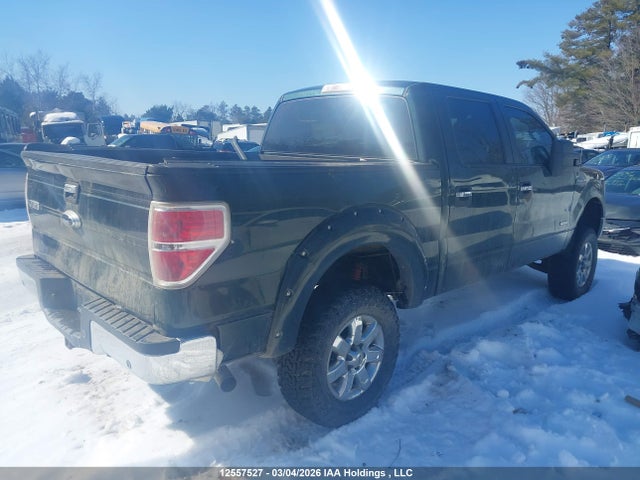 12557527 :رقم المزاد ، 1FTFW1ET1DFB25254 vin ، 2013 Ford F-150 Xlt مزاد بيع