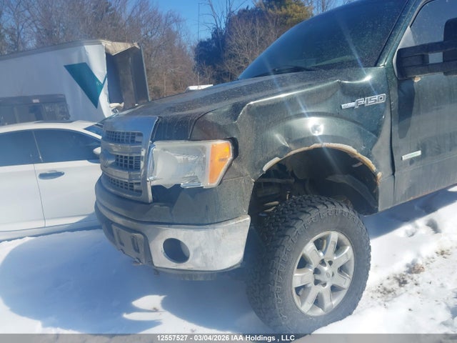 12557527 :رقم المزاد ، 1FTFW1ET1DFB25254 vin ، 2013 Ford F-150 Xlt مزاد بيع