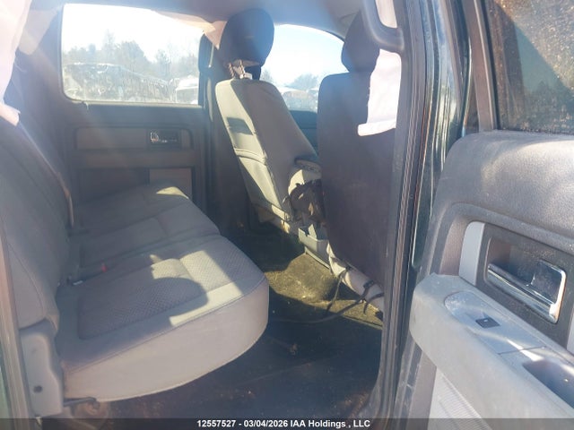 12557527 :رقم المزاد ، 1FTFW1ET1DFB25254 vin ، 2013 Ford F-150 Xlt مزاد بيع