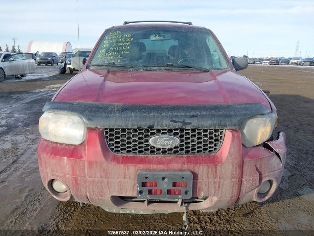 Продаж на аукціоні авто 2007 Ford Escape Limited, vin: 1FMCU94137KA41564, номер лоту: 12557537