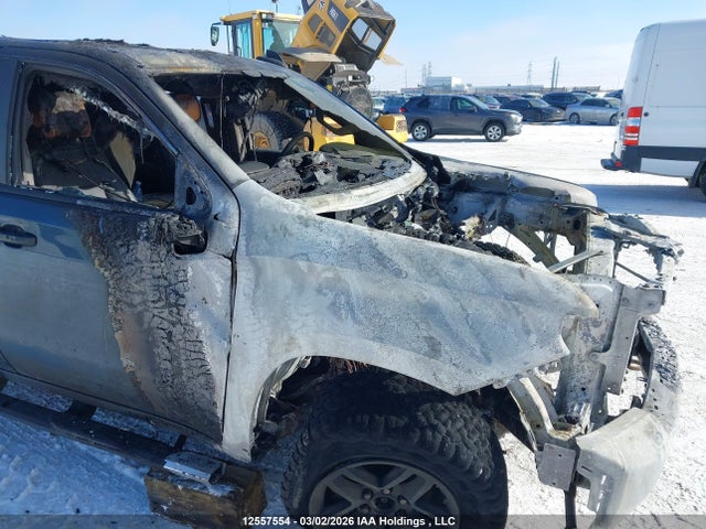 Aukcja sprzedaży 2019 Chevrolet Silverado 1500 Lt Trail Boss, vin: 1GCPYFED0KZ168435, numer aukcji: 12557554