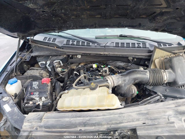 Aukcja sprzedaży 2019 Ford F150 Supercrew, vin: 1FTEW1EP6KFA98354, numer aukcji: 12557664