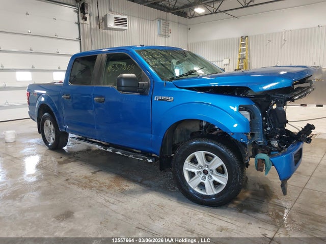 Aukcja sprzedaży 2019 Ford F150 Supercrew, vin: 1FTEW1EP6KFA98354, numer aukcji: 12557664