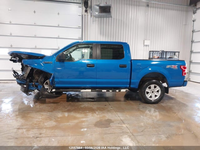 Aukcja sprzedaży 2019 Ford F150 Supercrew, vin: 1FTEW1EP6KFA98354, numer aukcji: 12557664