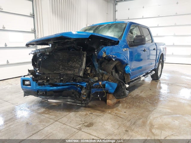 Aukcja sprzedaży 2019 Ford F150 Supercrew, vin: 1FTEW1EP6KFA98354, numer aukcji: 12557664