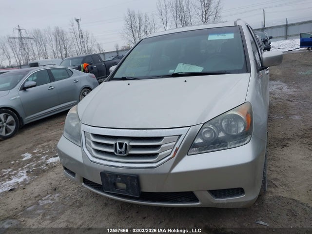 12557666 :رقم المزاد ، 5FNRL38678B505751 vin ، 2008 Honda Odyssey مزاد بيع