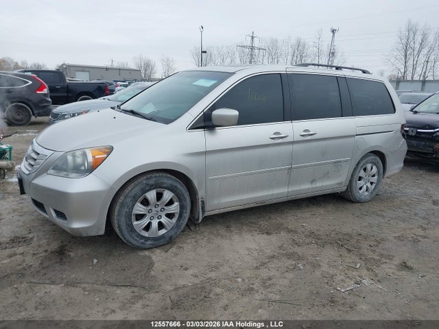 12557666 :رقم المزاد ، 5FNRL38678B505751 vin ، 2008 Honda Odyssey مزاد بيع
