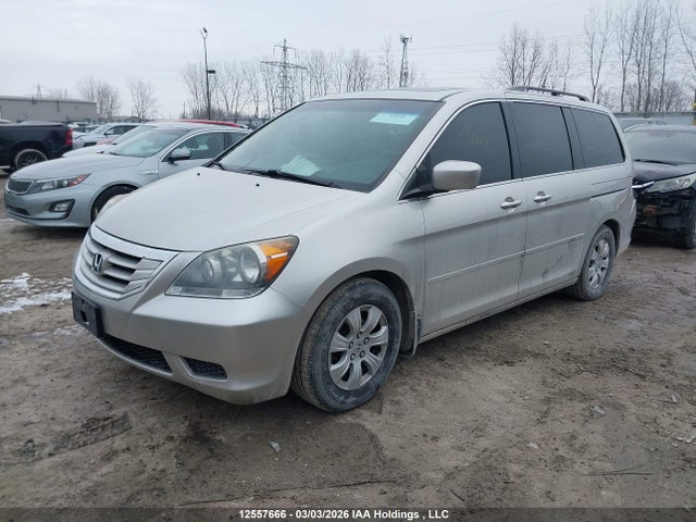 12557666 :رقم المزاد ، 5FNRL38678B505751 vin ، 2008 Honda Odyssey مزاد بيع