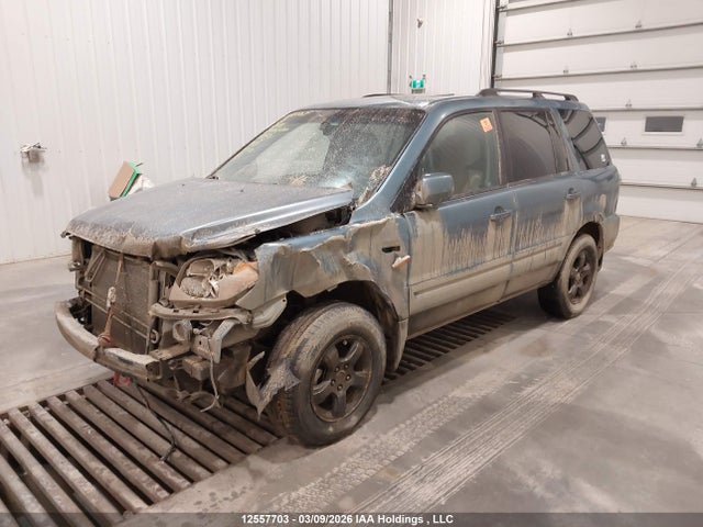 12557703 :رقم المزاد ، 5FNYF18536B003878 vin ، 2006 Honda Pilot Ex-l مزاد بيع