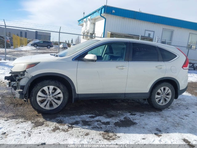 2HKRM4H71EH125734 Honda CR-V EXL