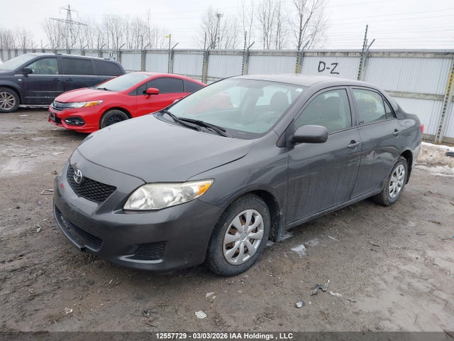 12557729 :رقم المزاد ، 2T1BU4EE5AC396796 vin ، 2010 Toyota Corolla Ce مزاد بيع