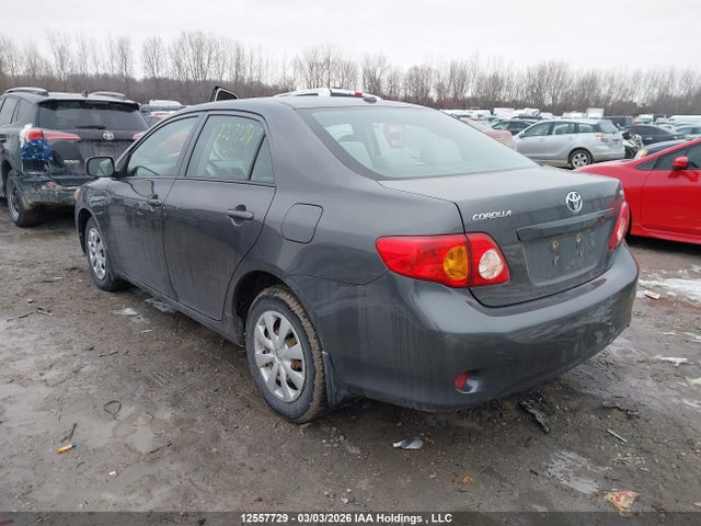 12557729 :رقم المزاد ، 2T1BU4EE5AC396796 vin ، 2010 Toyota Corolla Ce مزاد بيع