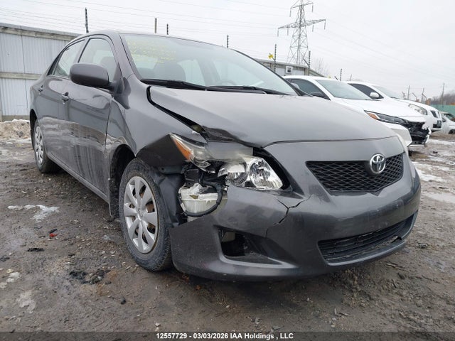 12557729 :رقم المزاد ، 2T1BU4EE5AC396796 vin ، 2010 Toyota Corolla Ce مزاد بيع
