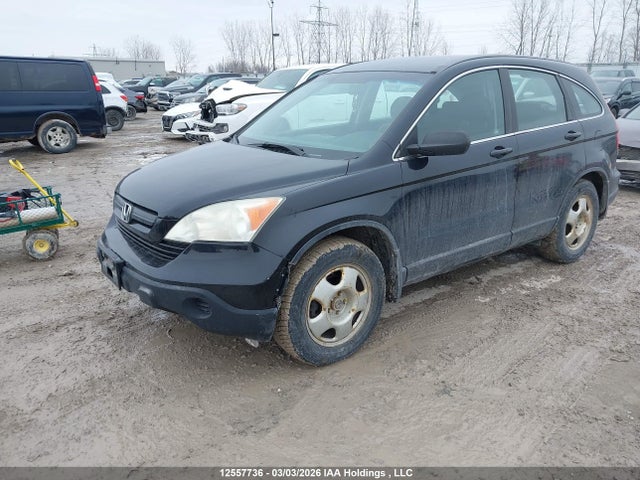 2008 Honda Cr-v Lx მანქანა იყიდება აუქციონზე, vin: 5J6RE48338L815781, აუქციონის ნომერი: 12557736