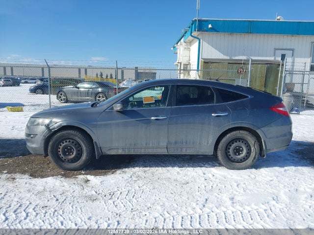 Продажа на аукционе авто 2010 Honda Accord Crosstour Exl, vin: 5J6TF2H58AL802023, номер лота: 12557739