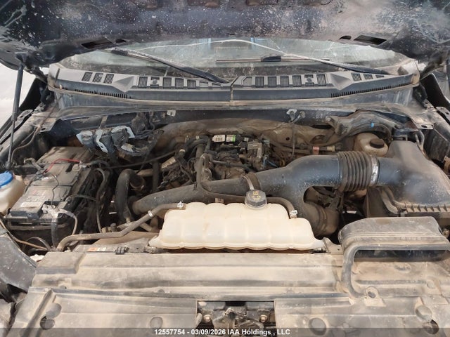 1FTEX1EP1LFB11204 Ford F-150 Xl