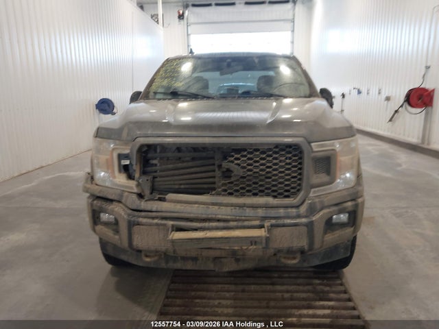 1FTEX1EP1LFB11204 Ford F-150 Xl